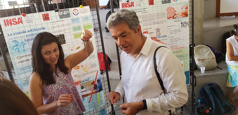 Summer school INSA 2019 MD