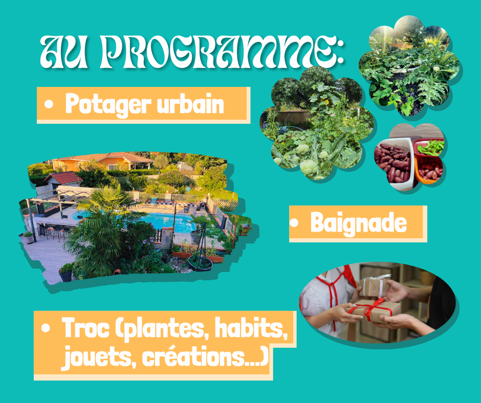 Pool-party-reseau-mexage-3